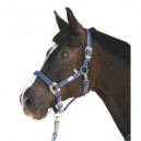 Ohlávka pro koně nylon, Supra, podložená dvakrát stavitelná světle-tmavě-královsky modrá