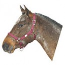 Ohlávka pro koně nylon, Supra, podložená dvakrát stavitelná fialovo-růžová